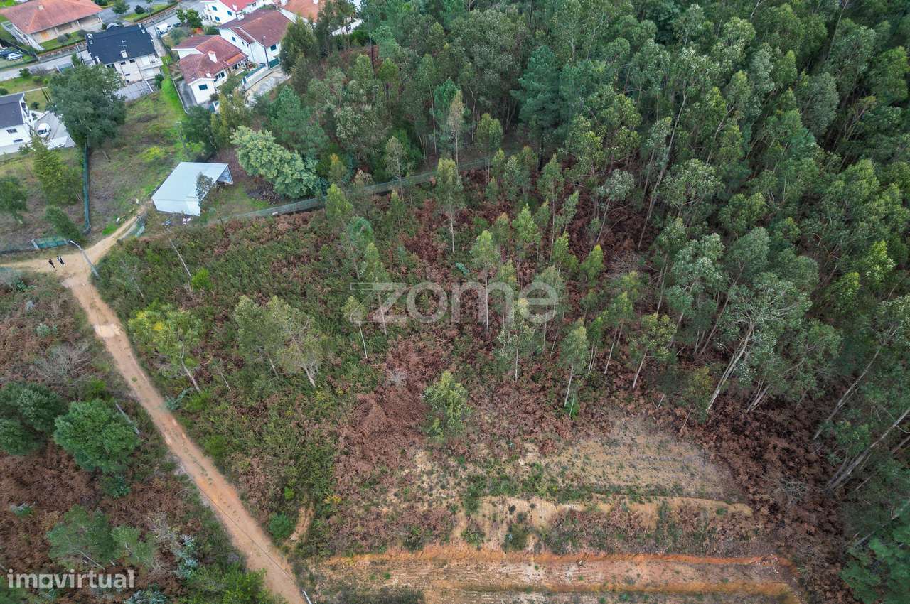 Terreno 3300m2 Vila Chã |São Roque | Oliveira de Azeméis-7