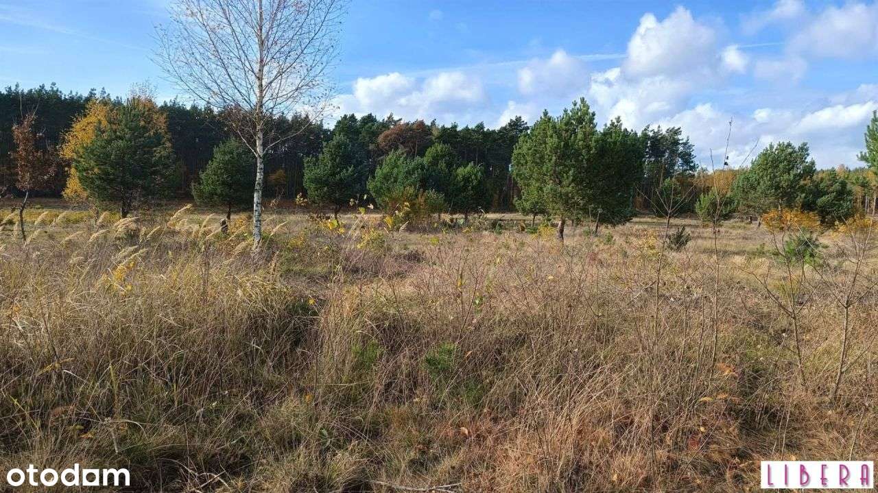 Tylko u nas! Działka, Godzimierz - Pełny obrazek: 5/14