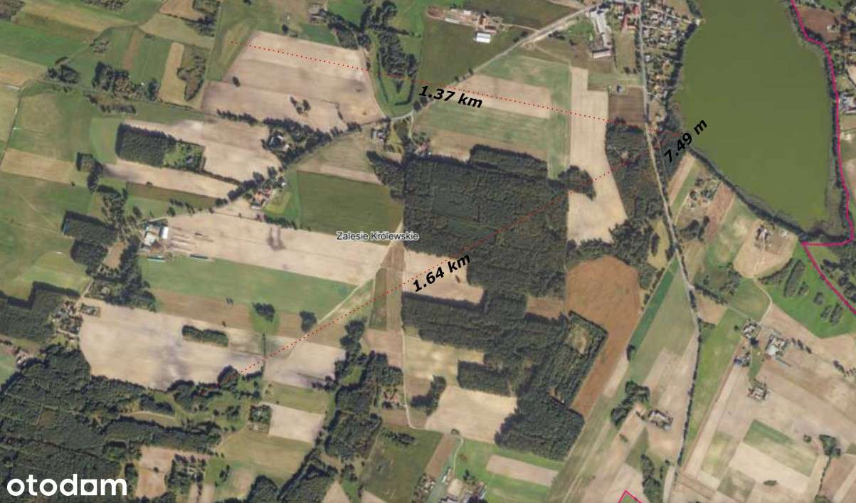 Działki siedliskowe Zalesie Królewskie idealne pod dom lub letniskowe - Pełny obrazek: 4/9