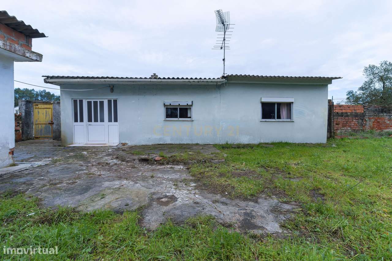 Excelente Moradia T3 Térrea - Grande imagem: 5/31