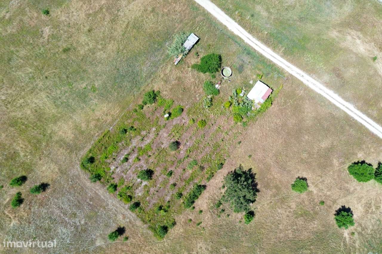 Terreno  Venda em Poceirão e Marateca,Palmela - Grande imagem: 2/14