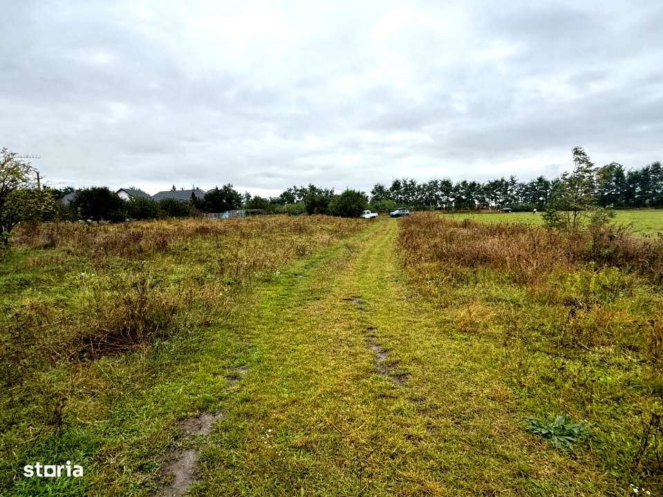 Vanzare 10.000 mp teren Liteni Suceava- la strada -potrivit proiect fo - Imagine principală: 5/19