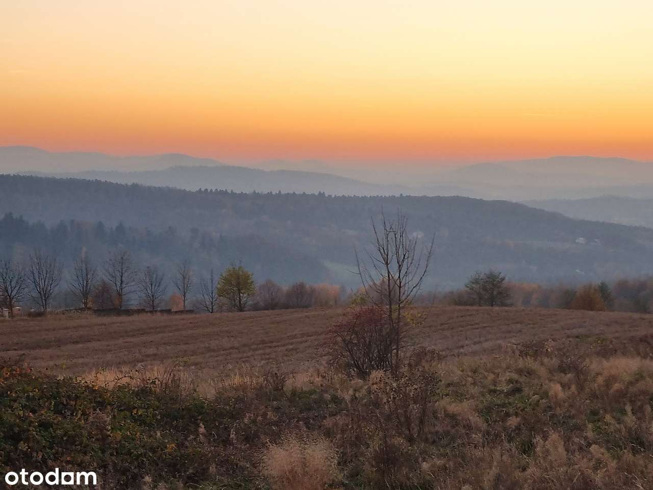 PANORAMICZNA DZIAŁKA na Babią Górę i Tatry-3