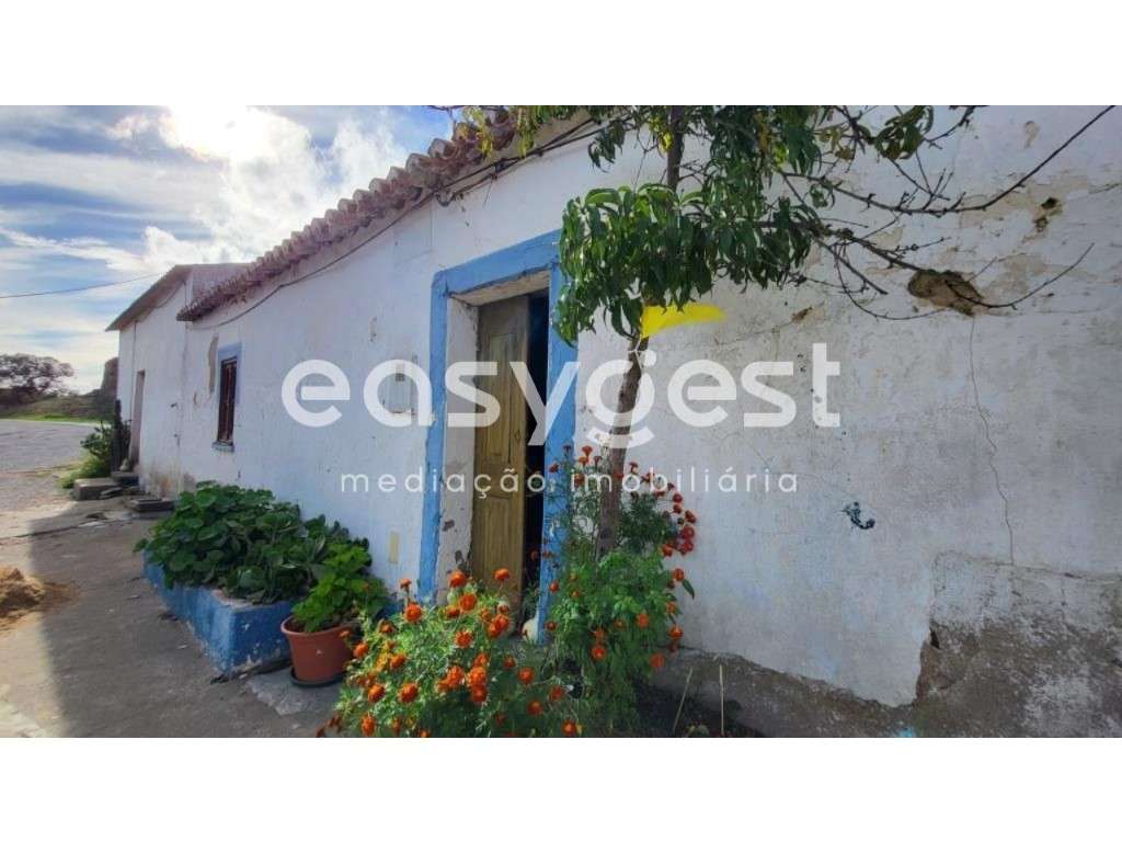 Monte Alentejano c/ moradia - 43h em Ourique - Grande imagem: 2/40