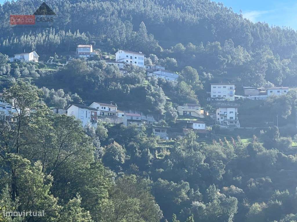 Lagar em Coimbra - Torres do Mondego (Coimbra) Portugal-14