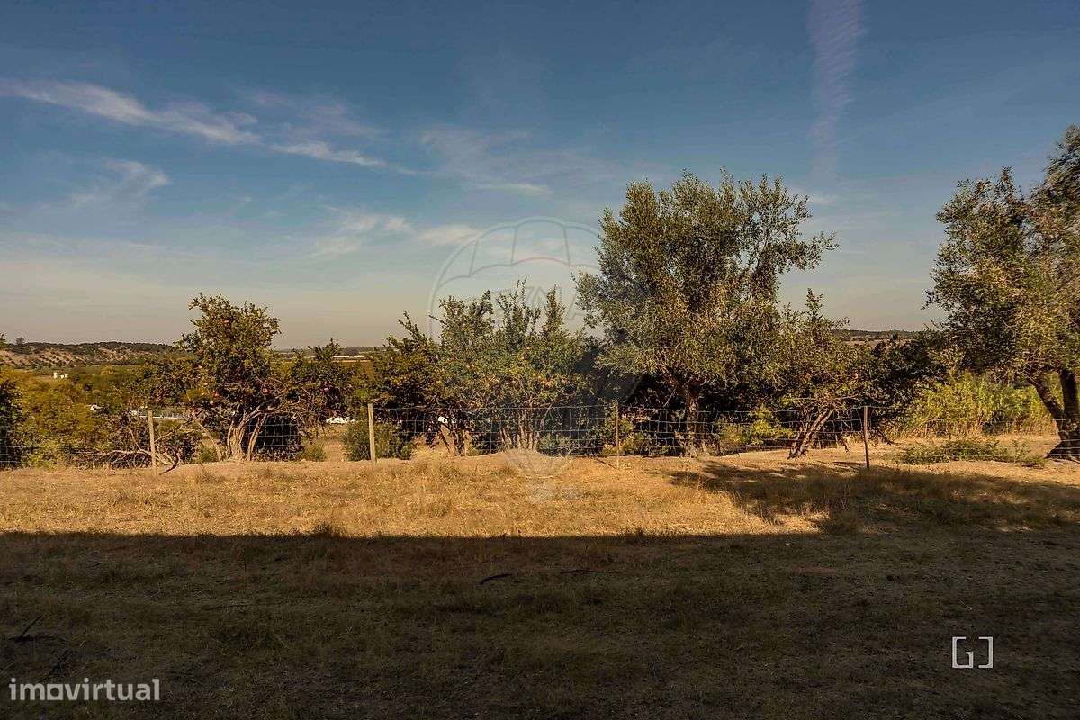 Quinta T4 para venda-38