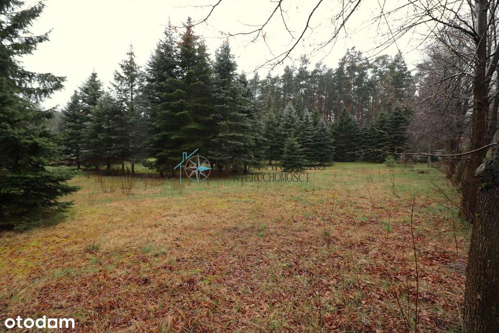 *2800 m2*Dom 88 M2*Kuchnia Letnia* - Pełny obrazek: 5/11