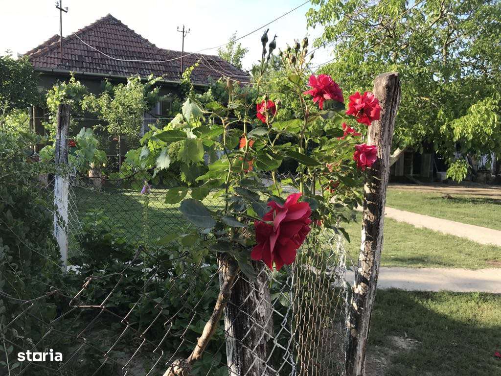 RAMDA,Casa de vanzare Tulca Salonta Bihor - Imagine principală: 2/9