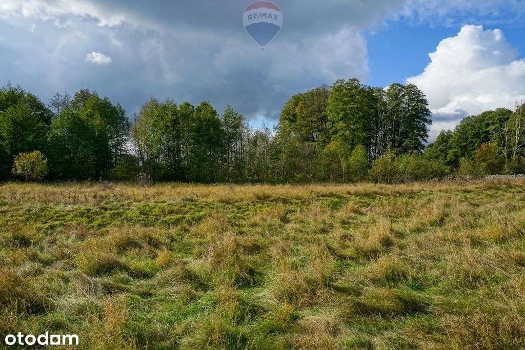 Działka budowlana 1501m2, Henryszew, gm. Jaktorów - Pełny obrazek: 4/10