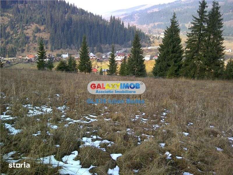 Teren pentru Complex Turistic - 12 730 mp  - Vatra Dornei - Imagine principală: 5/11