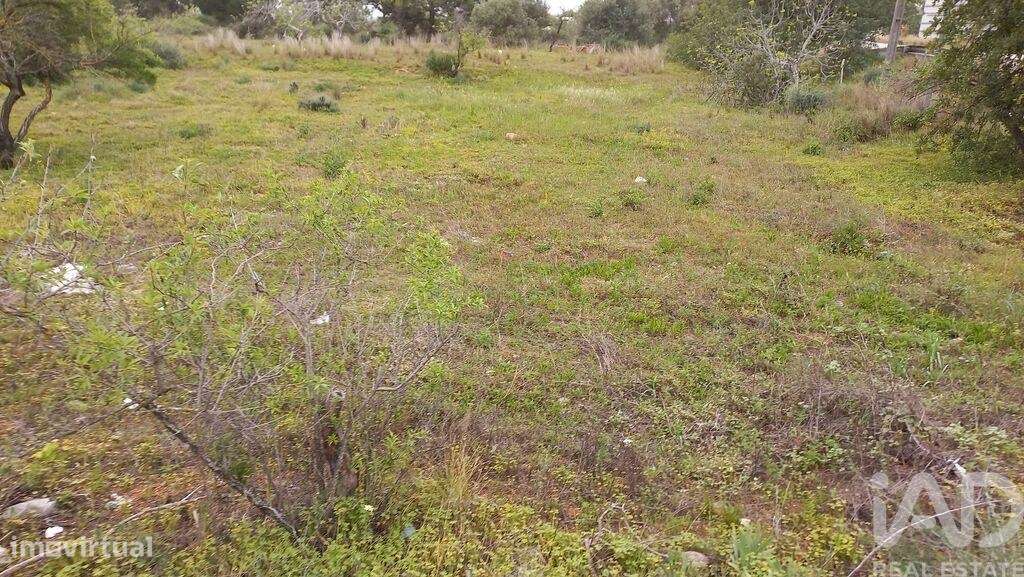 Terreno Agrícola em Quarteira de 3500,00 m2 - Grande imagem: 4/7