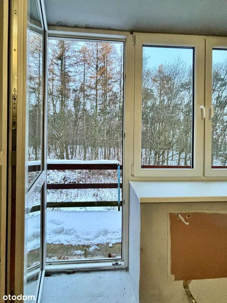 Mieszkanie w lesie - do remontu-0