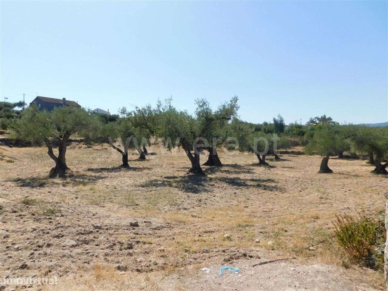 Terreno / Fundão, Martianas - Grande imagem: 4/5