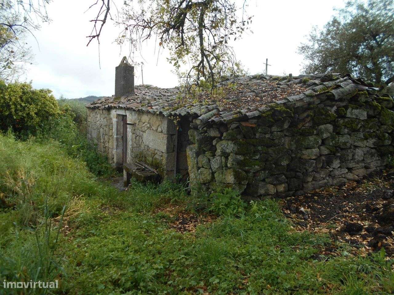 Quintinha - Grande imagem: 2/8