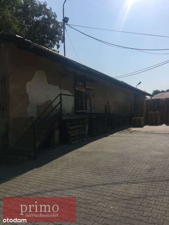 Hala/Magazyn, 1 730 m², Drogomyśl - Pełny obrazek: 5/9