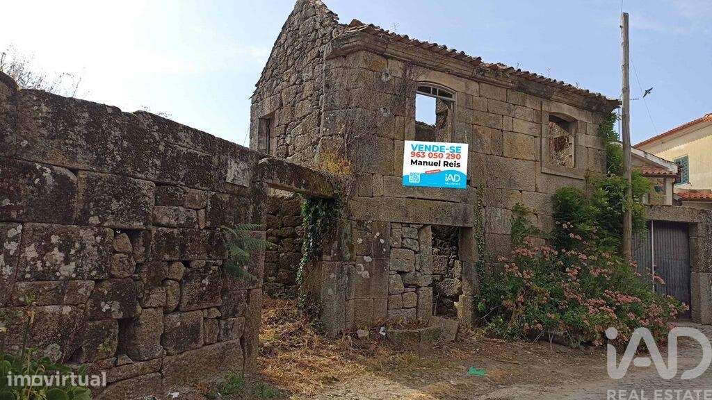 Terreno em Campia - Grande imagem: 2/22