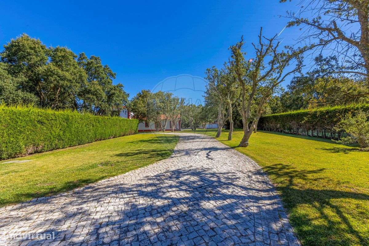 Quinta T4 para venda - Grande imagem: 4/45