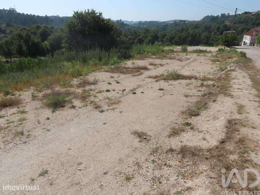 Terreno Agrícola em Constance - Grande imagem: 5/38