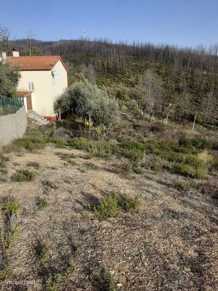 Fabulosa propriedade composta por casa, terrenos e nascente de agua - Grande imagem: 4/8