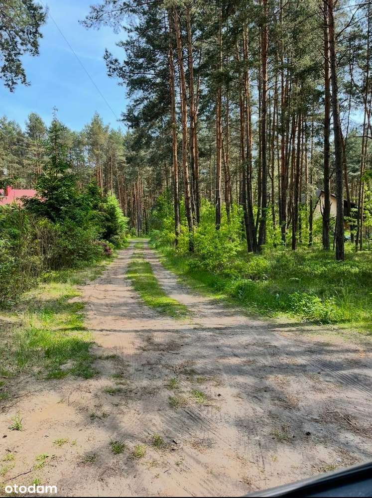 Masłońskie działka budowlana