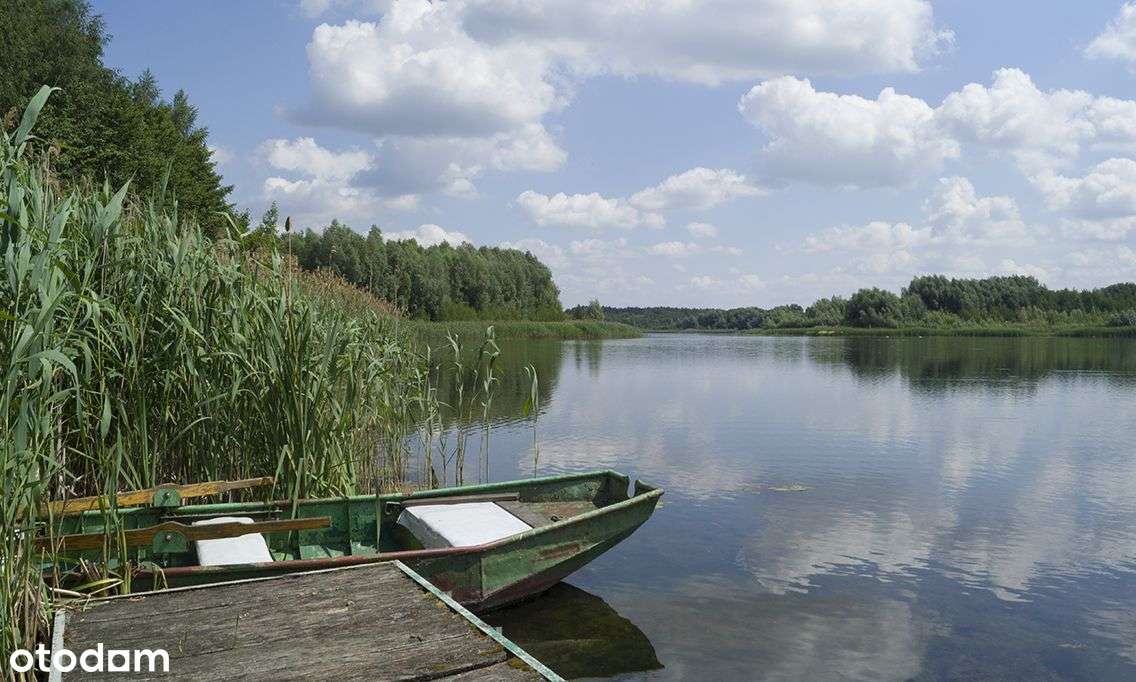 Zalesione działki rekreacyjne nad Jez. Wilczyńskim - Pełny obrazek: 5/14