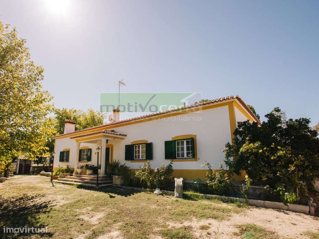 Moradia Térrea T4 em Quinta de 11.250 m² com Árvores de Fruto. Em S...-27