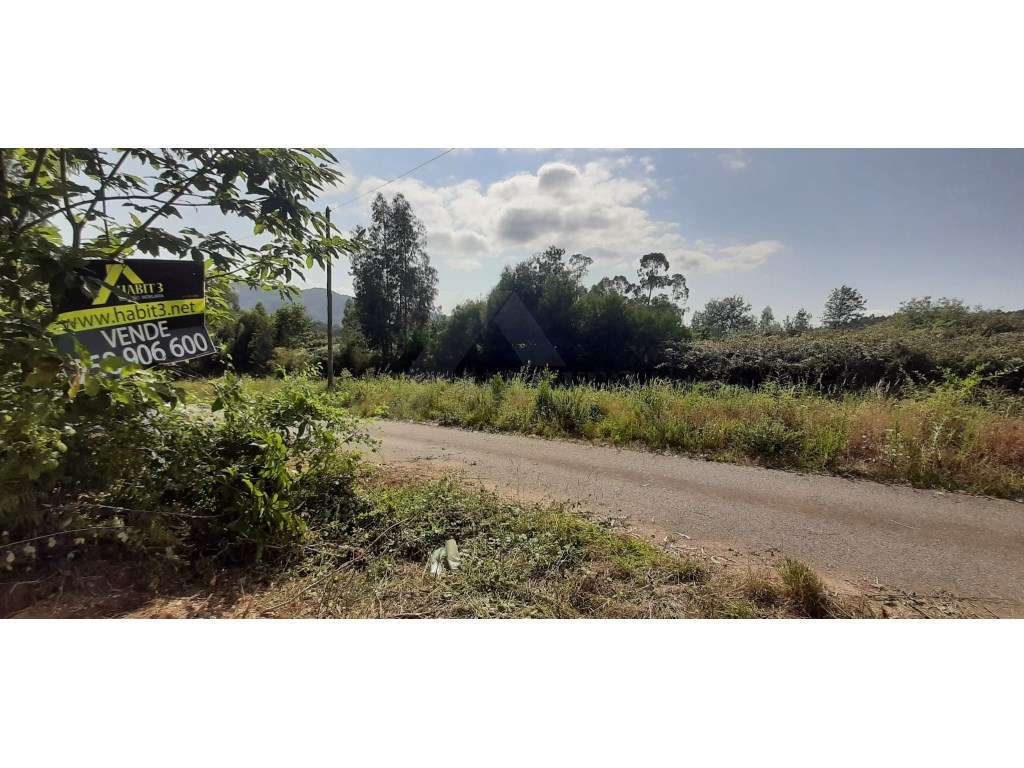 Terreno plano em Fornelos, Ponte de Lima. - Grande imagem: 5/5