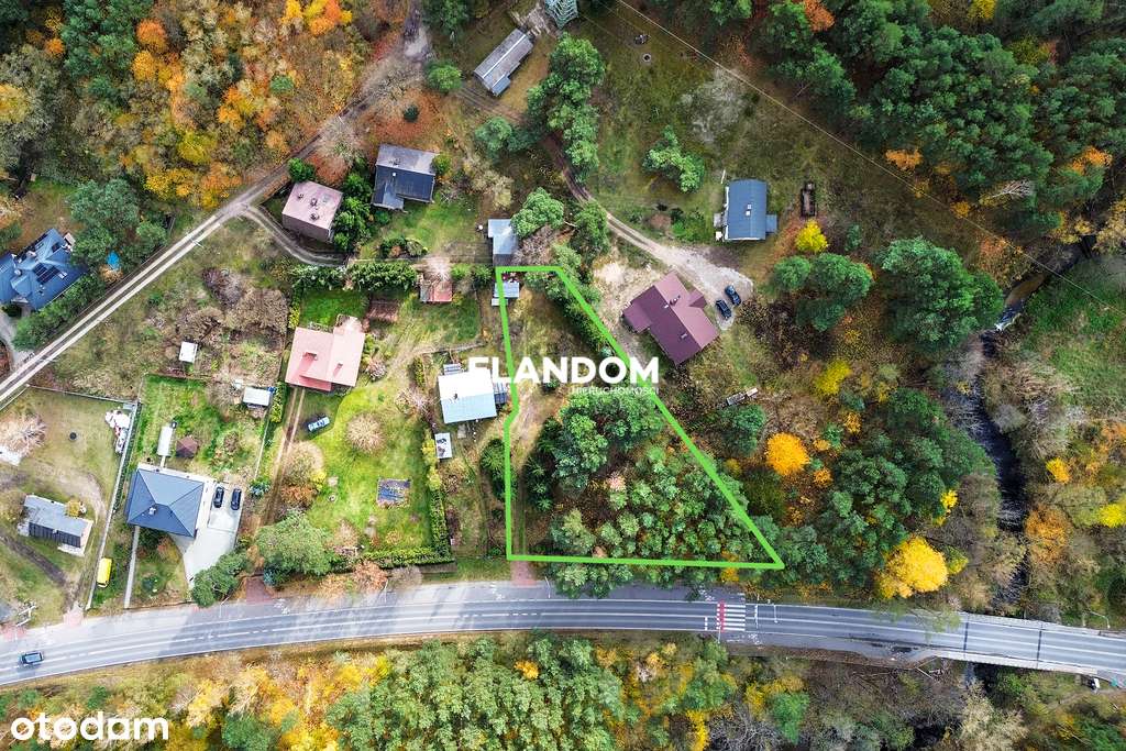 Urokliwa działka z lasem obok rzeki Mienia - Pełny obrazek: 3/8