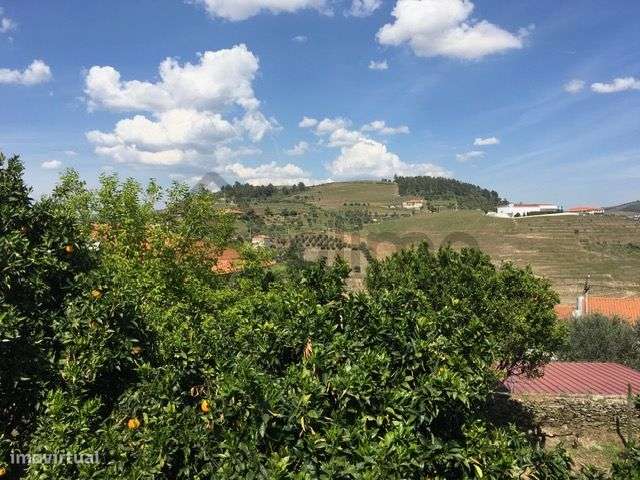 Casa com Terreno em Vilarinho de Cotas, Douro-19