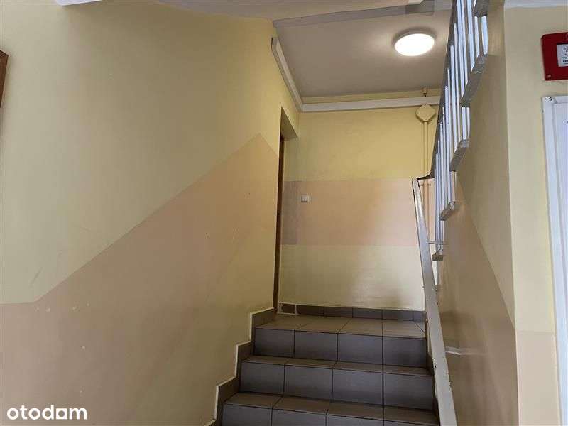 Stysia/2 pokoje/rozkład/niska zabudowa/m.miejskie-4