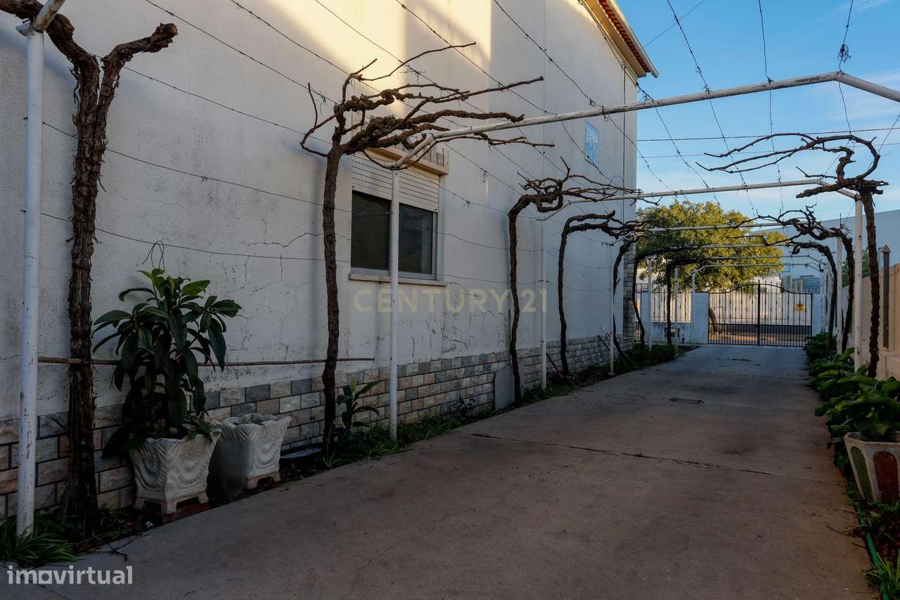 Moradia T6 para venda em Alpiarça, Santarém - Grande imagem: 3/60