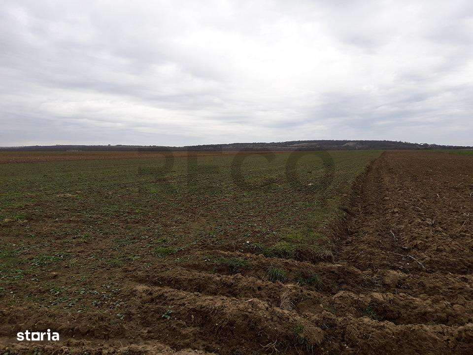 RECO Teren in Santandrei 29 100mp-2