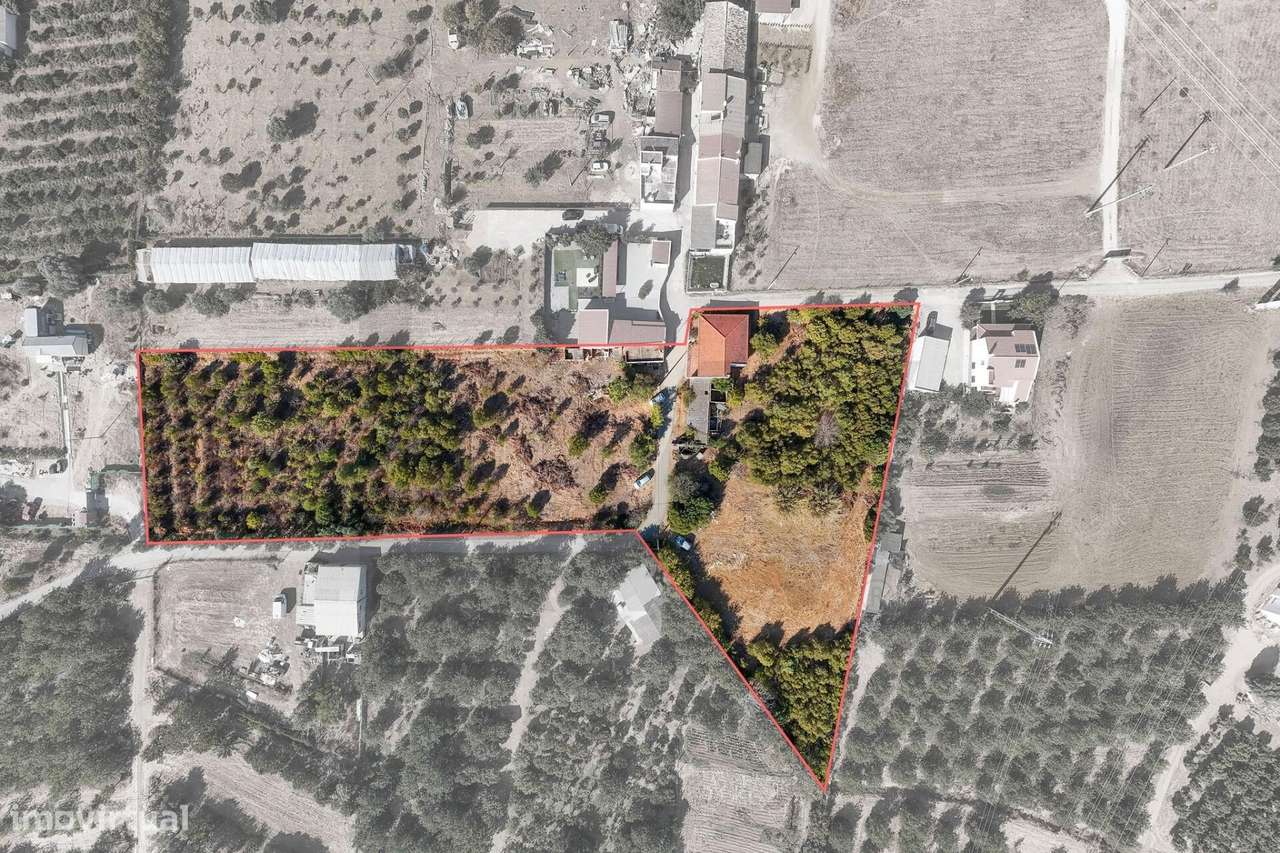 Moradia T4 com Terreno de 8480m2 em Bela Salema-42