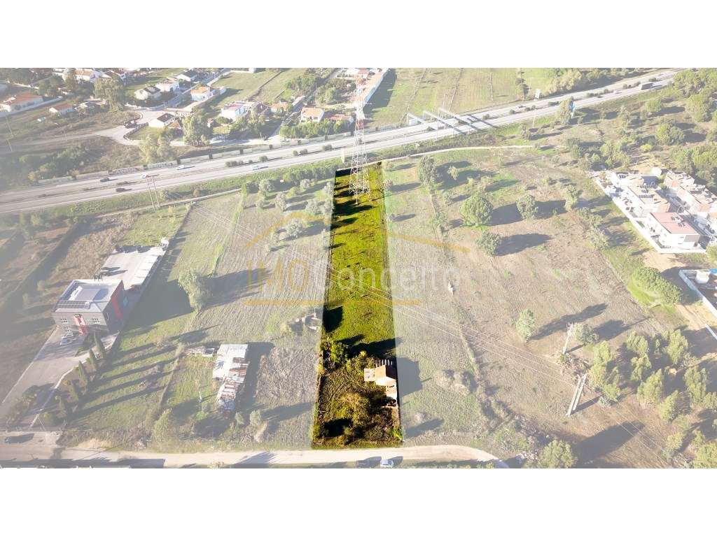 Terreno Misto com Ruína || Entroncamento - Grande imagem: 4/20