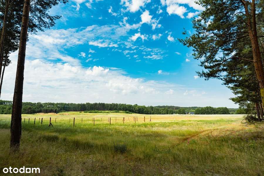 BLACK WEEK | Bez prowizji | Budowlana | MPZP | 2 ostatnie działki - Pełny obrazek: 4/12