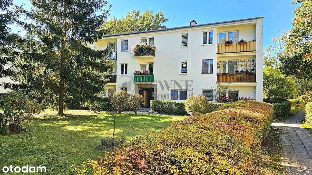 Anin | 2 pokoje | loggia | cisza i zieleń | 37 m²-6