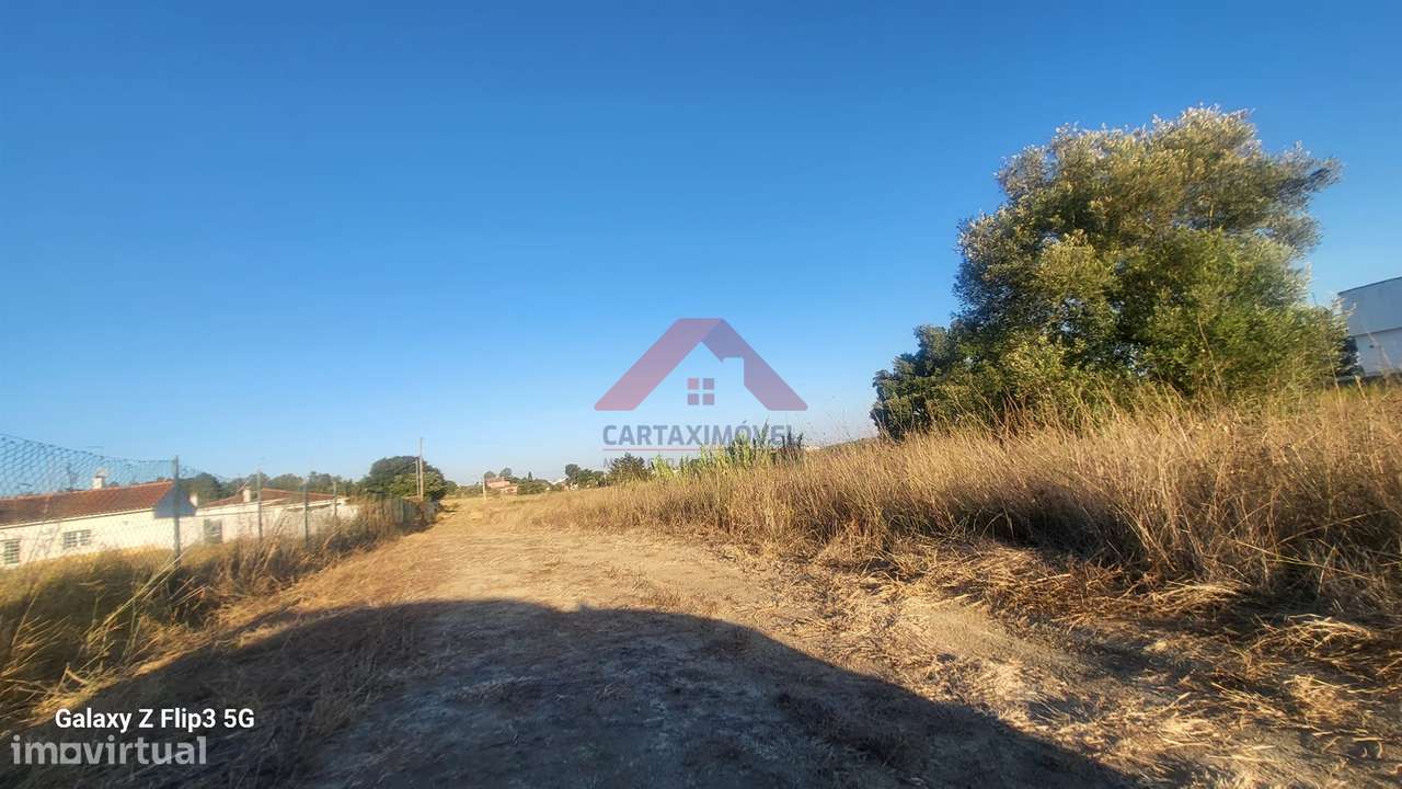 Terreno Rústico  Venda em Cartaxo e Vale da Pinta,Cartaxo - Grande imagem: 3/6