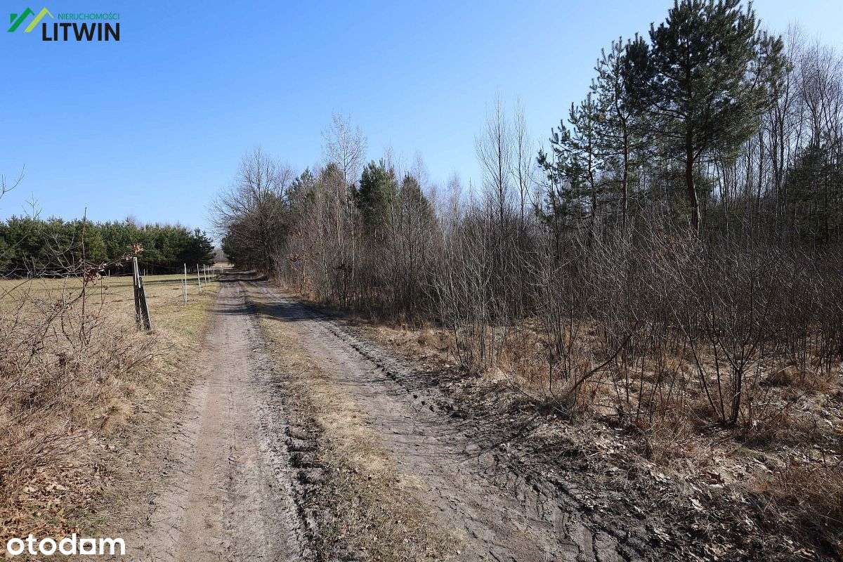 Działka w Machowej z WZ, areał 53 ary-6