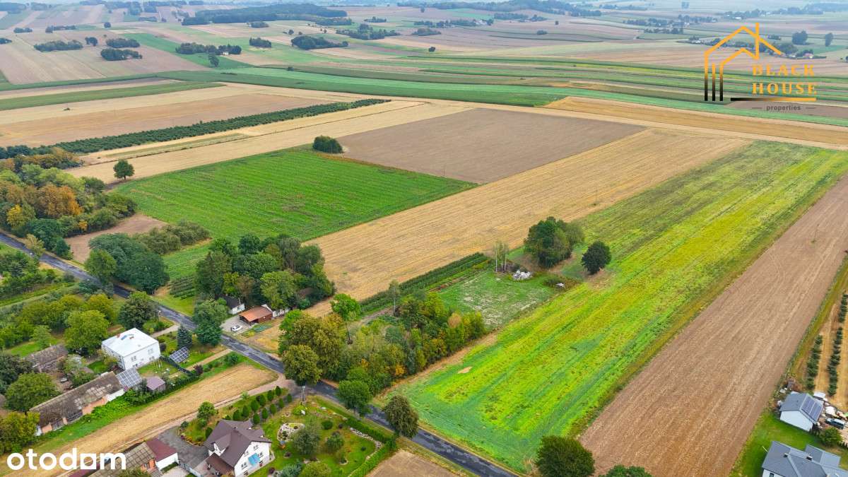 Działka budowlana z potencjałem- Kolonia Wola Duża - Pełny obrazek: 5/9