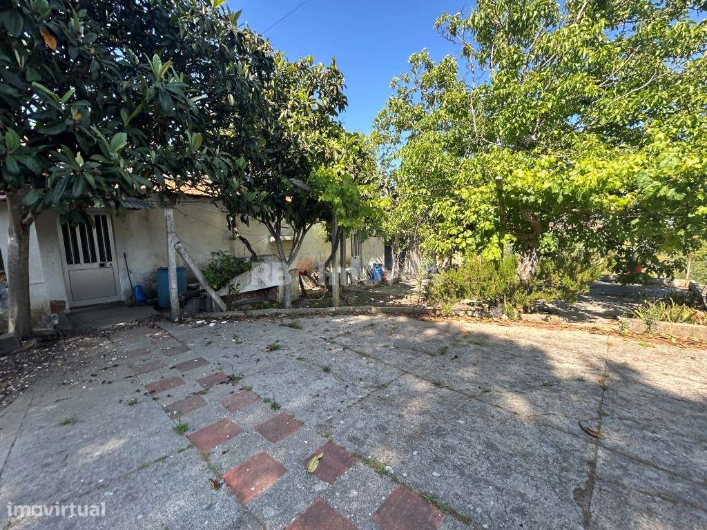 Quintinha nas Calçadas - Tomar - Grande imagem: 4/45