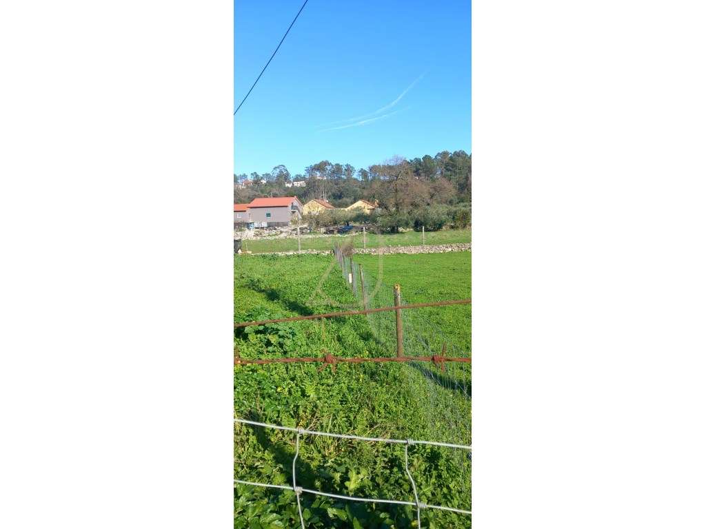 Moradia / Reconstrução / Venda / Fátima-11