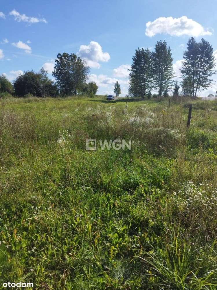 Działka Chruściele - Pełny obrazek: 4/7