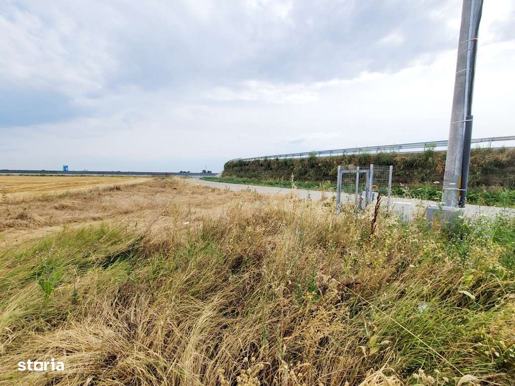 Teren 8.812mp- Magurele- Dumitrana, Autostrada 0 - Imagine principală: 2/8