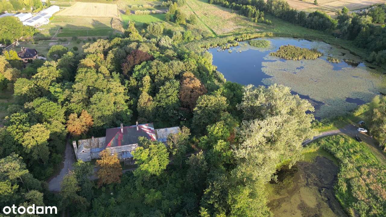 Piękne działki 86a Olesin, blisko Pałac Potockich, stawy, park - Pełny obrazek: 4/10