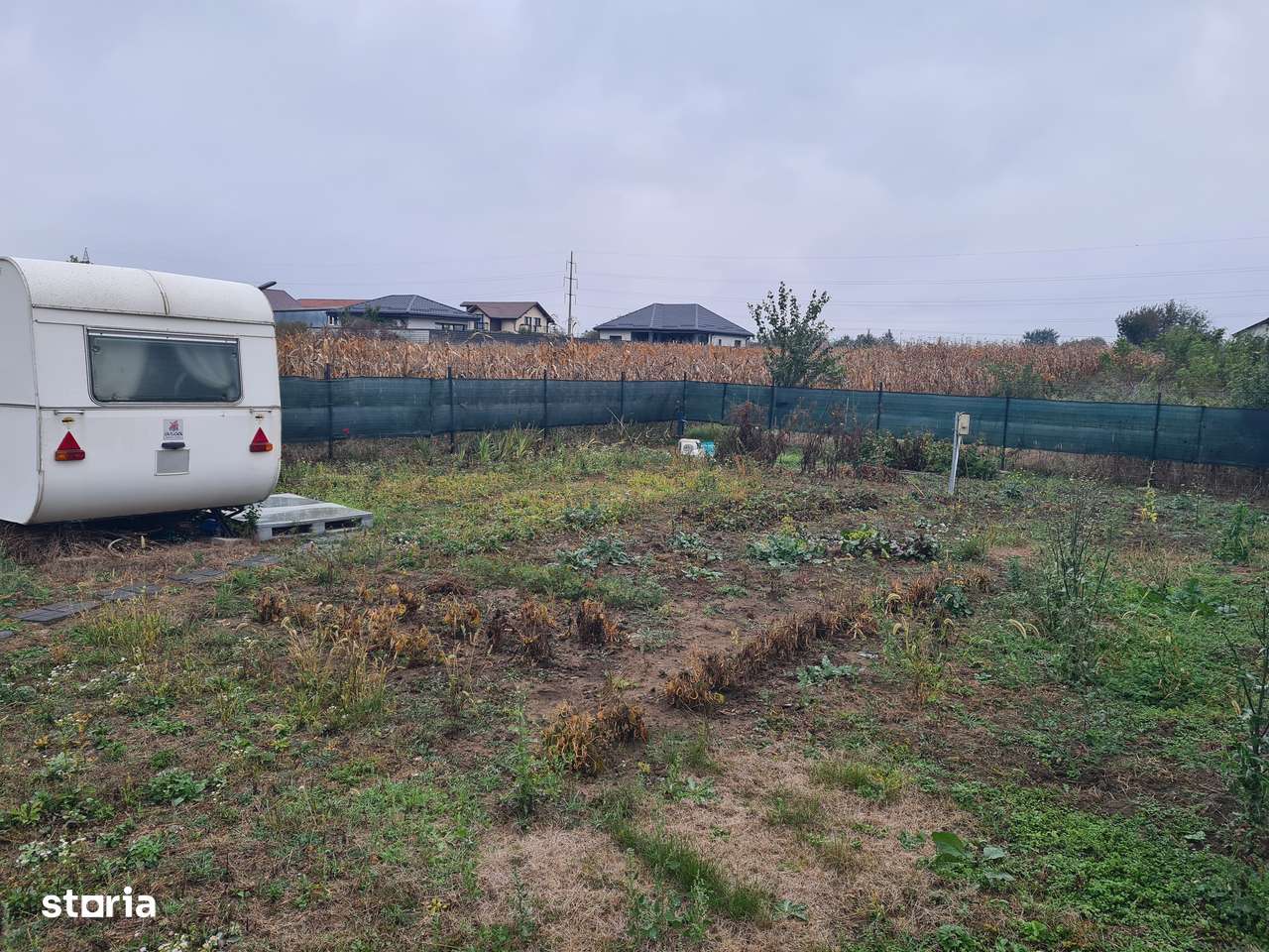 Teren Intravilan 600 mp, Lilieci, Bacau-4