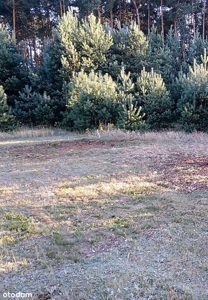 Działka Budowlana Przy Lesie! - Pełny obrazek: 3/3