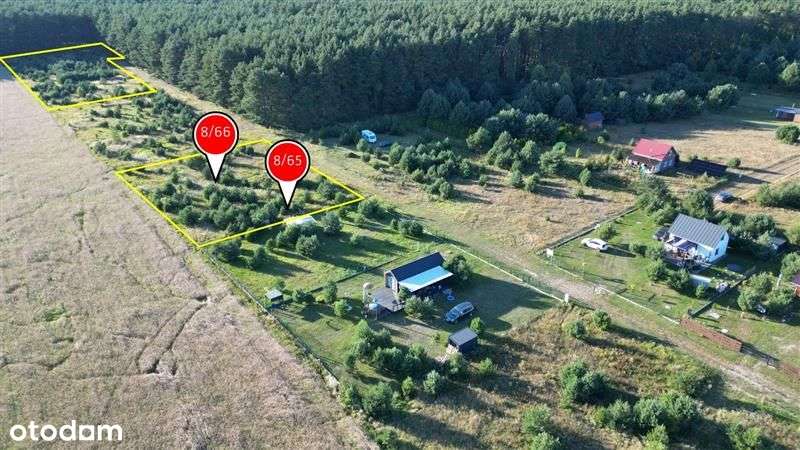 Działki na terenie Puszczy Rzepińskiej - Pełny obrazek: 5/16