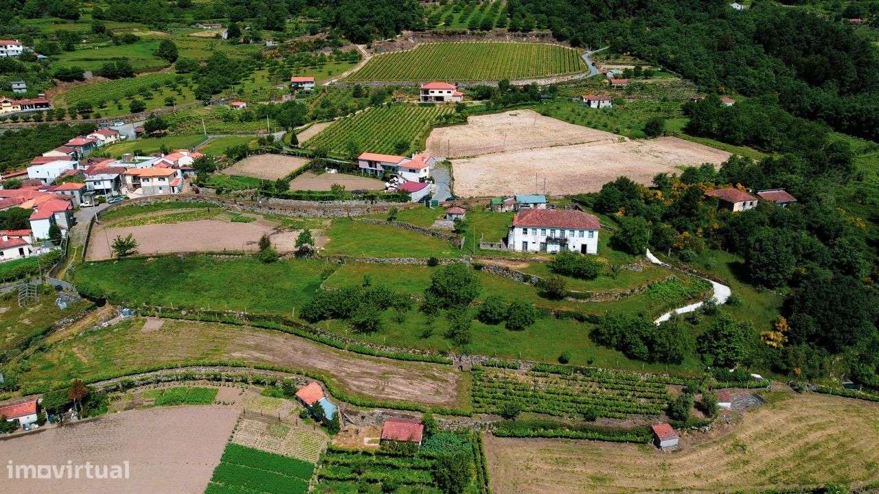 Quintinha com Casa Senhorial em Baião-16