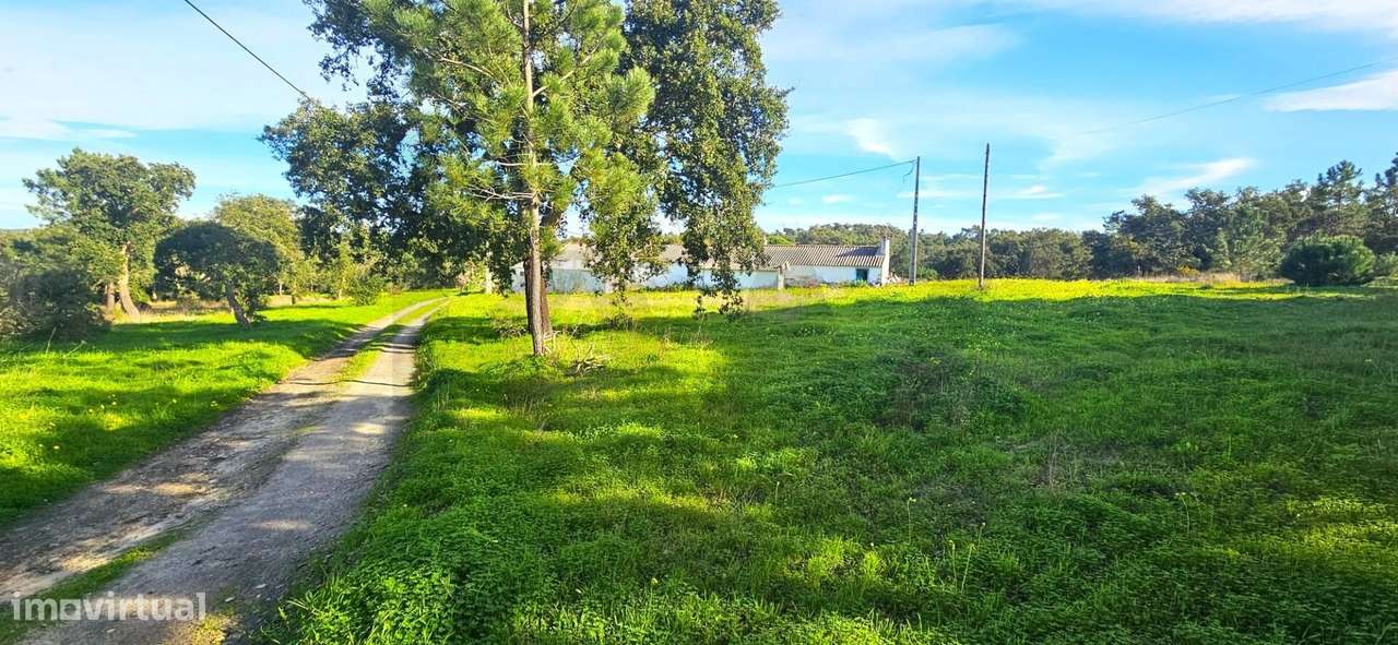 Quintinha Exclusiva a 5 Minutos da Praia: O Cenário Perfeito para o Se - Grande imagem: 4/23