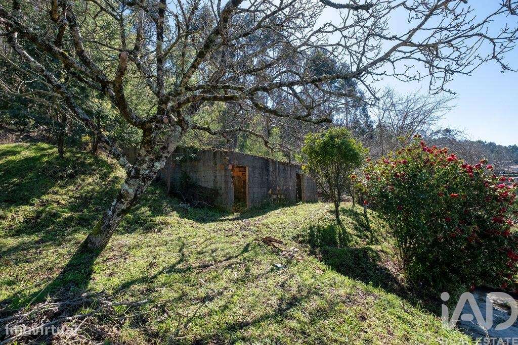 Casa / Villa T2 em Vila Nova de 64 m2 - Grande imagem: 5/29